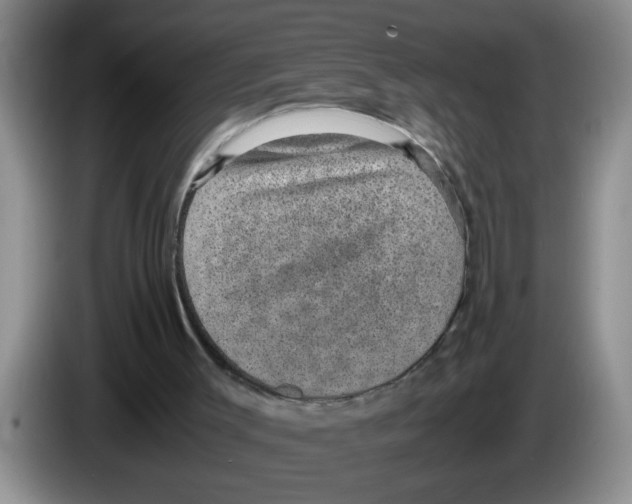 X0000083580003200703091708