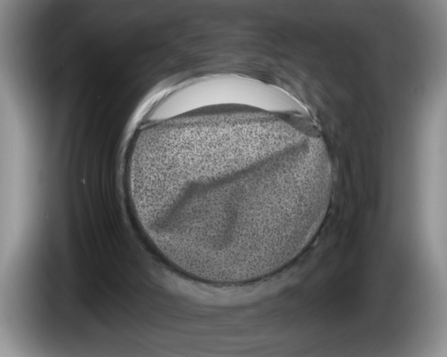 X0000083580006200703091708