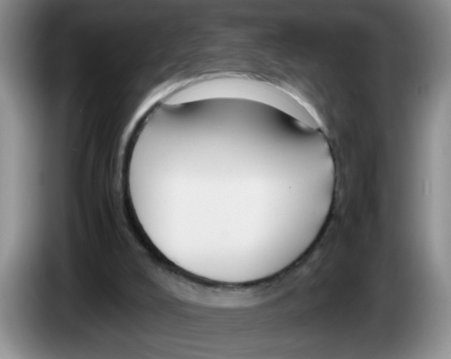 X0000083580008200703091708