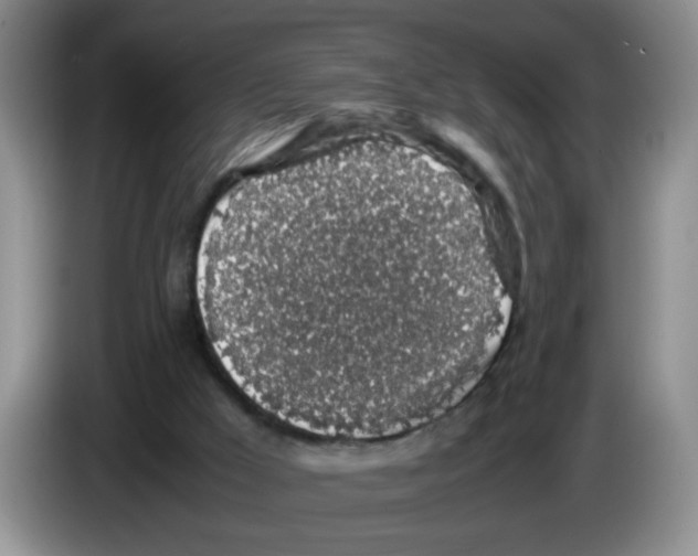 X0000083580009200703091708