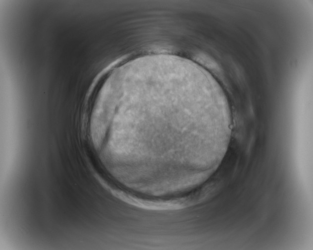X0000083580012200703091708