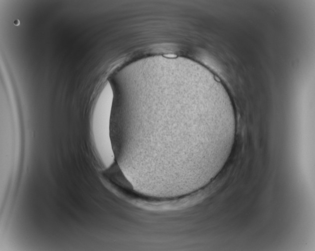 X0000083580013200703091708