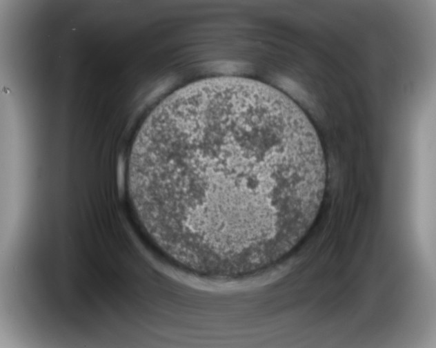 X0000083580014200703091708