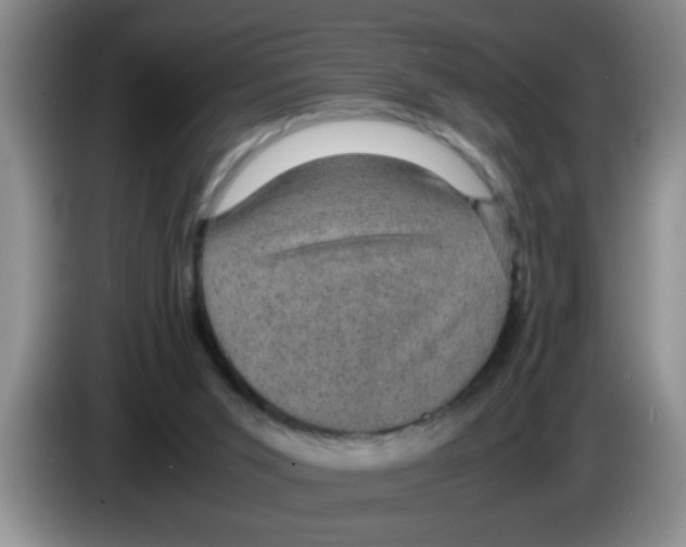 X0000083580015200703091708