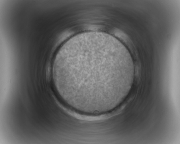 X0000083580016200703091708