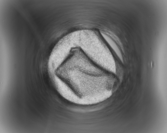 X0000083580017200703091708
