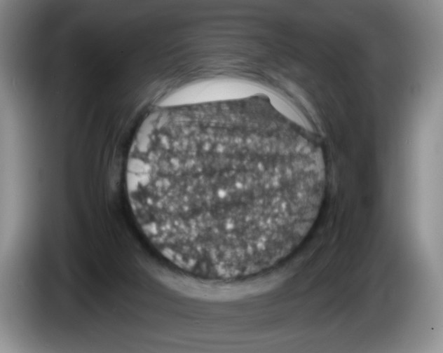 X0000083580018200703091708