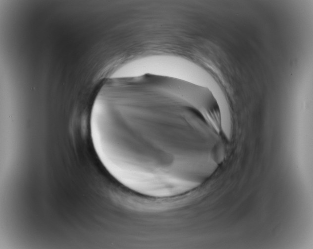 X0000083580019200703091708