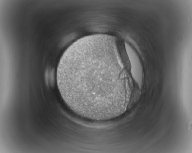 X0000083580020200703091708