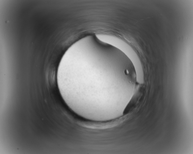 X0000083580021200703091708