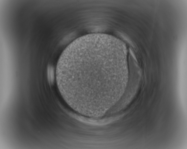 X0000083580022200703091708