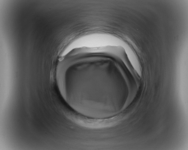 X0000083580023200703091708