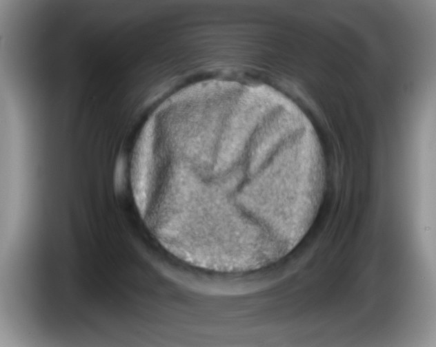 X0000083580024200703091708