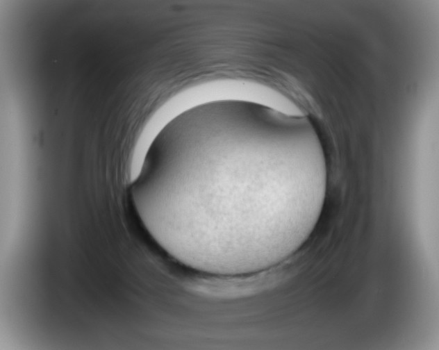 X0000083580025200703091708