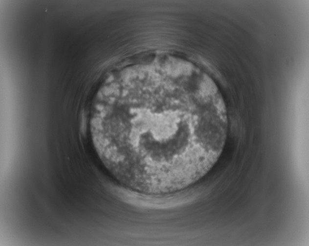 X0000083580026200703091708