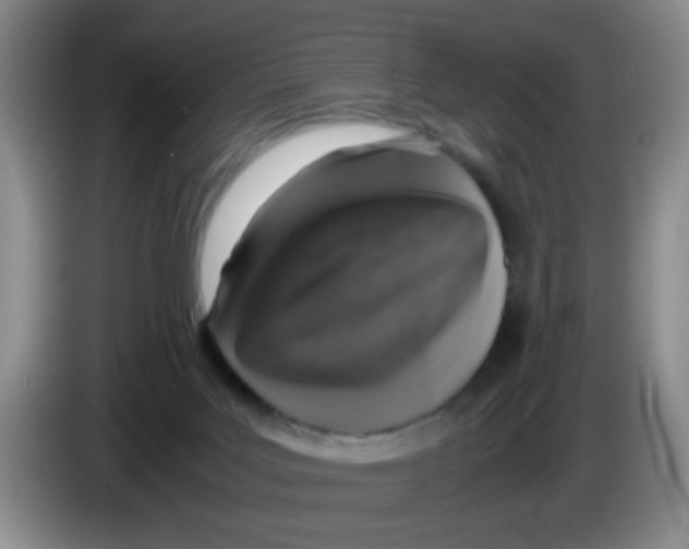 X0000083580027200703091708