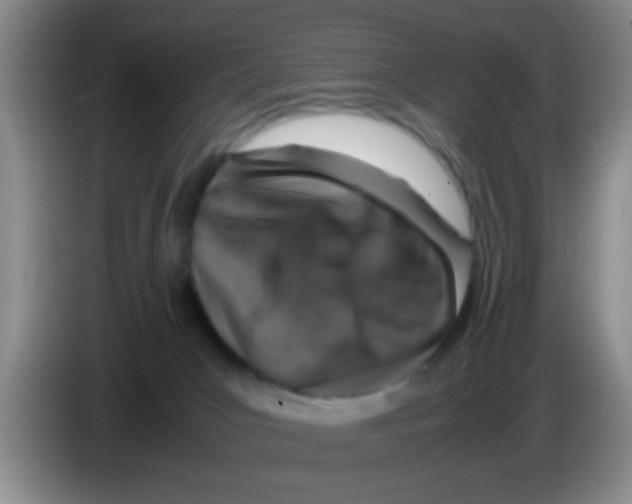 X0000083580031200703091708