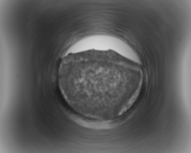 X0000083580032200703091707