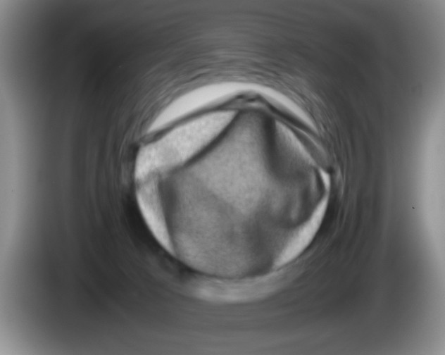 X0000083580033200703091707