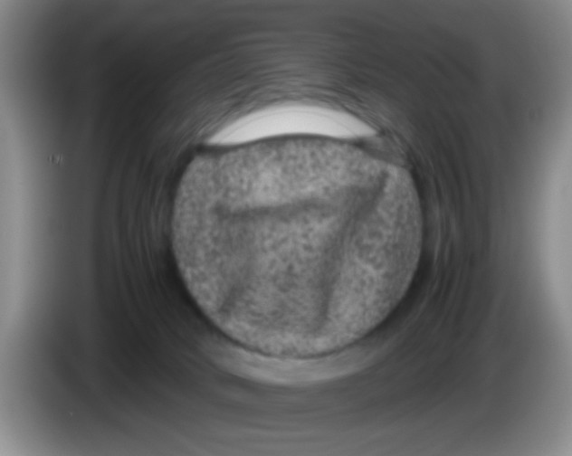 X0000083580034200703091707