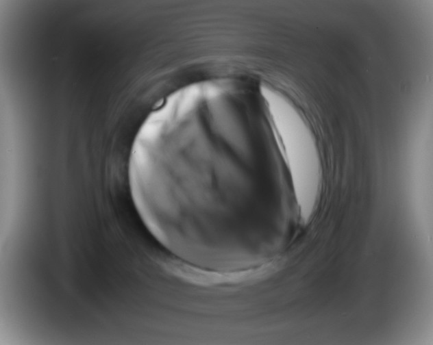 X0000083580035200703091707