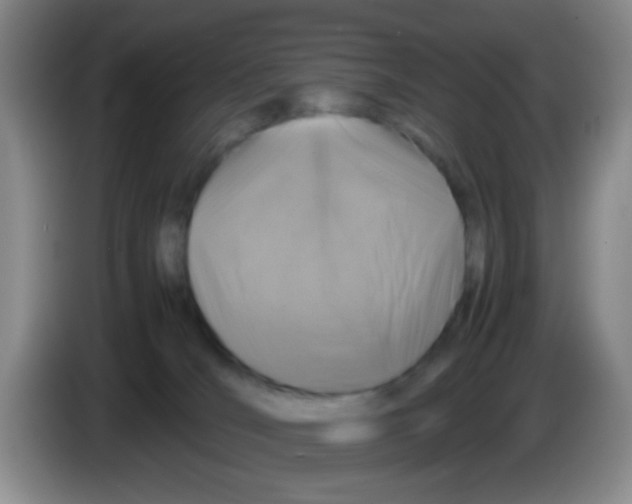 X0000083580036200703091707