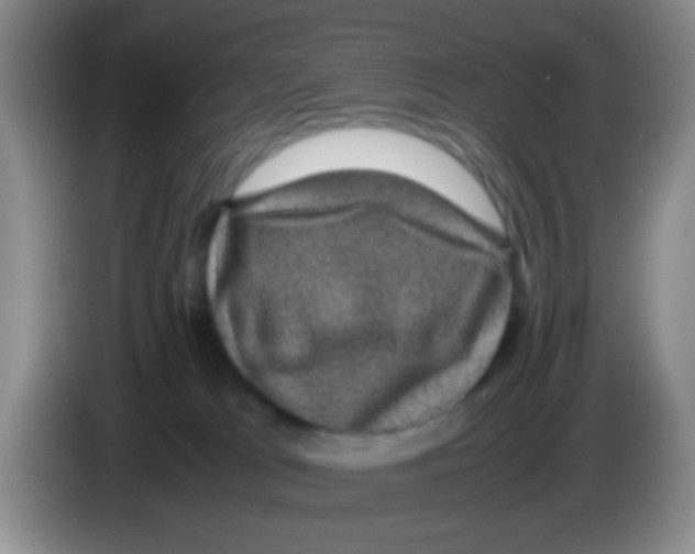 X0000083580037200703091707