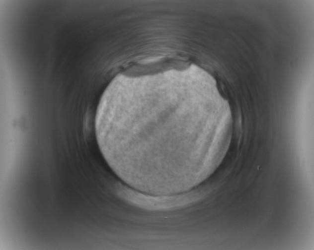 X0000083580038200703091707