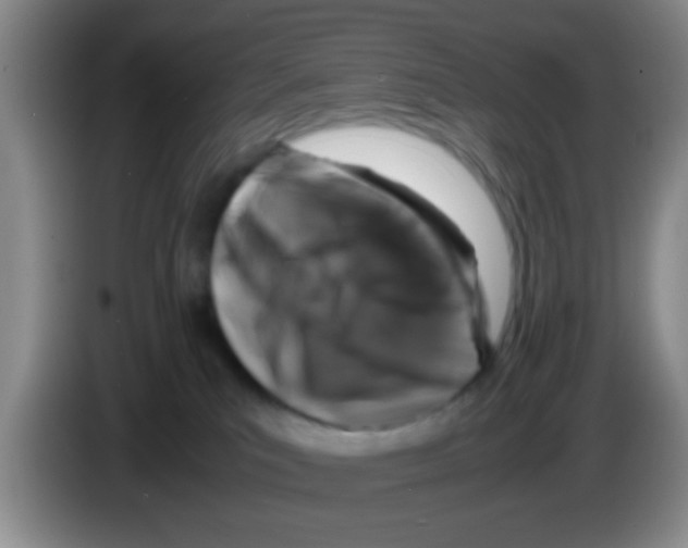X0000083580039200703091707
