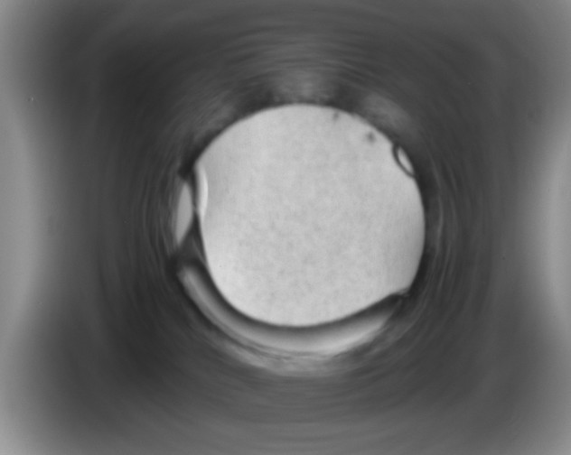 X0000083580040200703091707