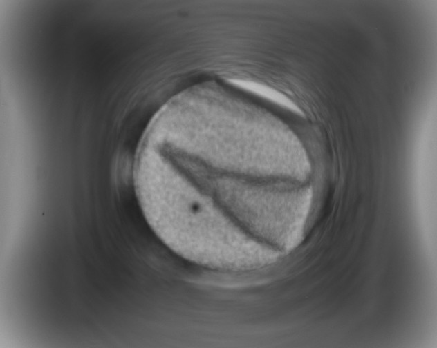 X0000083580041200703091707