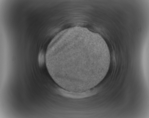 X0000083580042200703091707