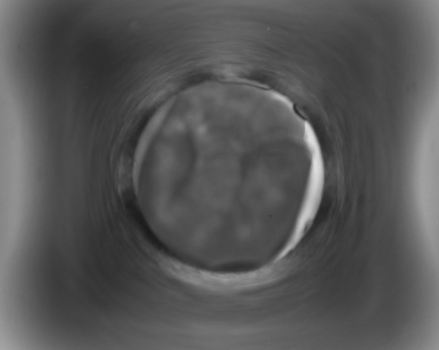 X0000083580043200703091707