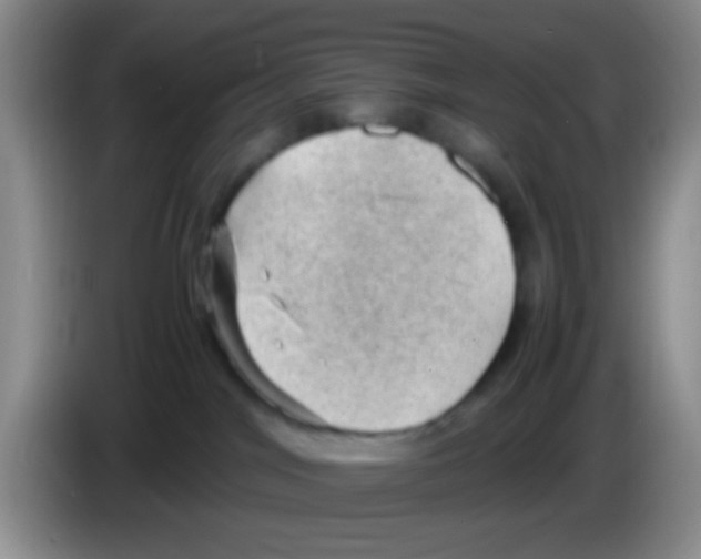 X0000083580044200703091707