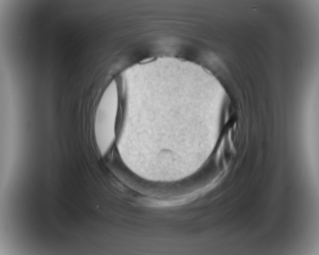 X0000083580045200703091707