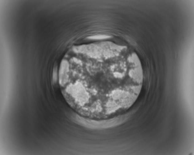 X0000083580046200703091707