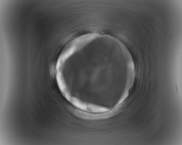 X0000083580047200703091707