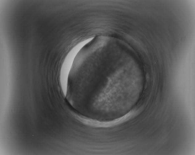 X0000083580048200703091707