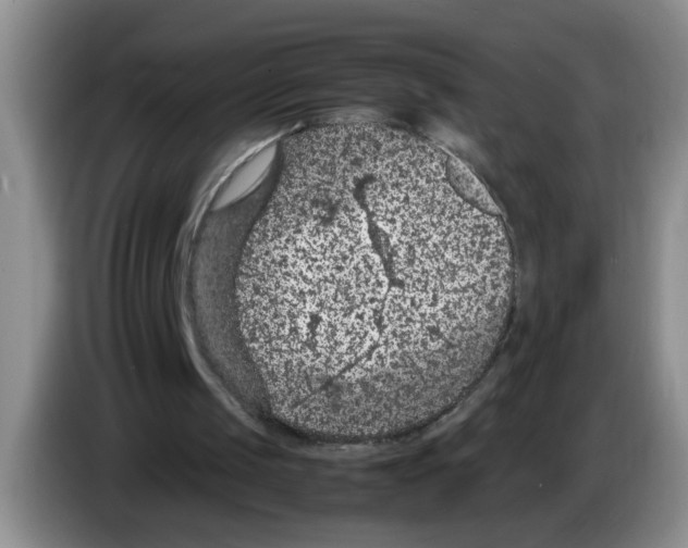 X0000083580049200703091707