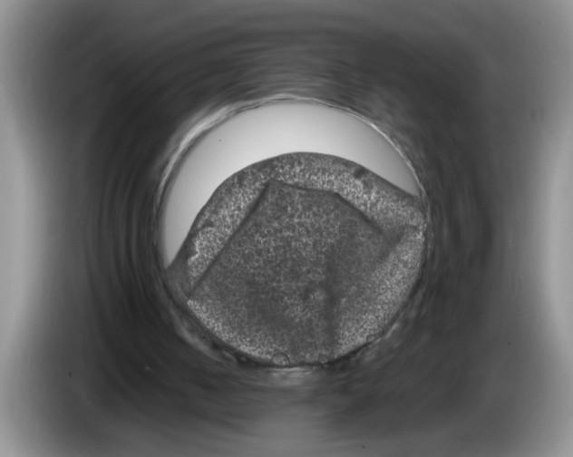 X0000083580050200703091707