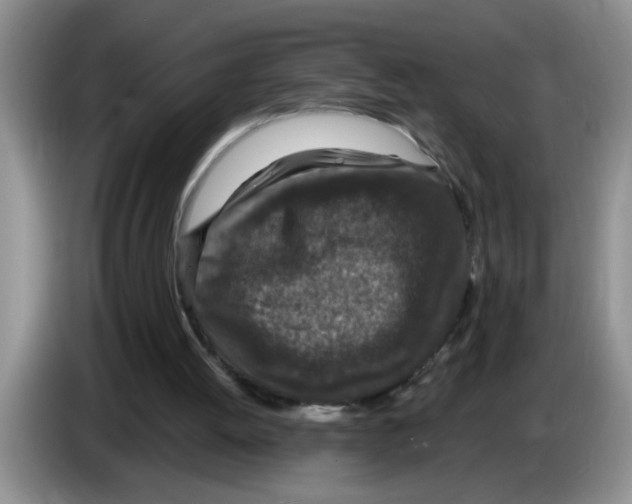 X0000083580052200703091707