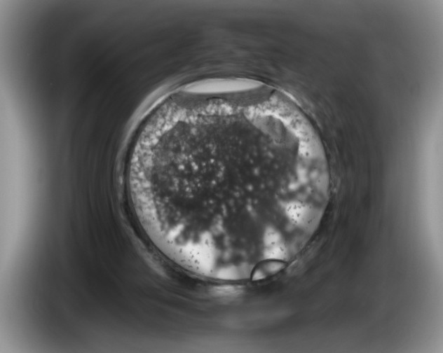 X0000083580053200703091707