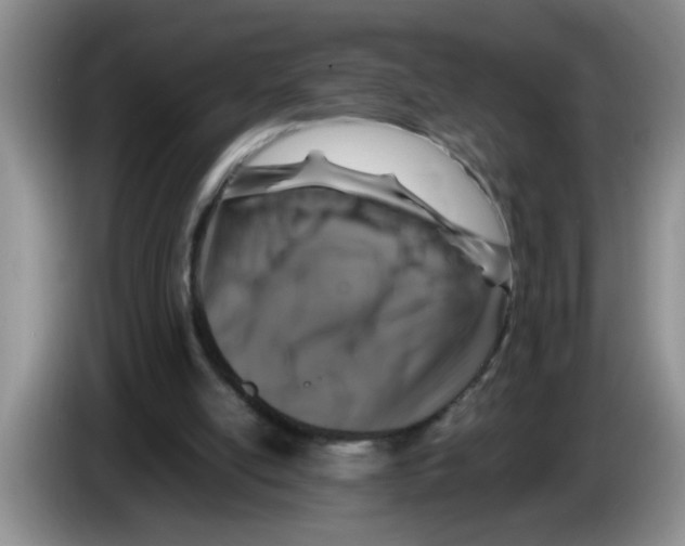 X0000083580054200703091707