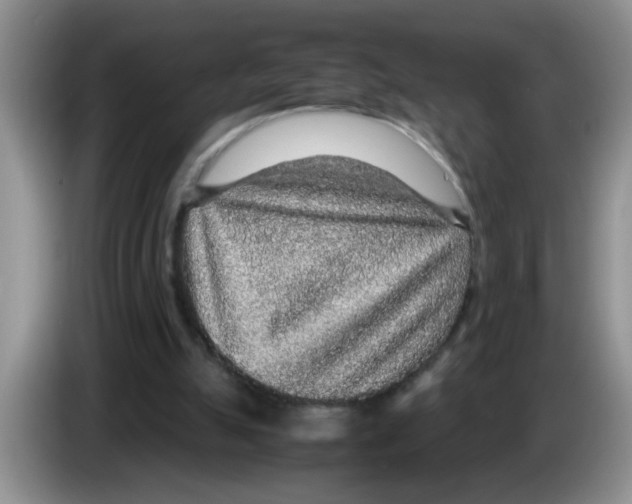 X0000083580055200703091707