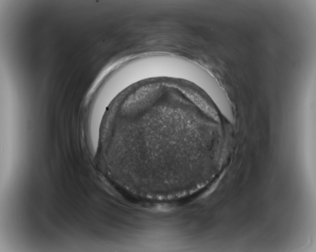 X0000083580056200703091707