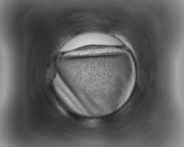 X0000083580057200703091707