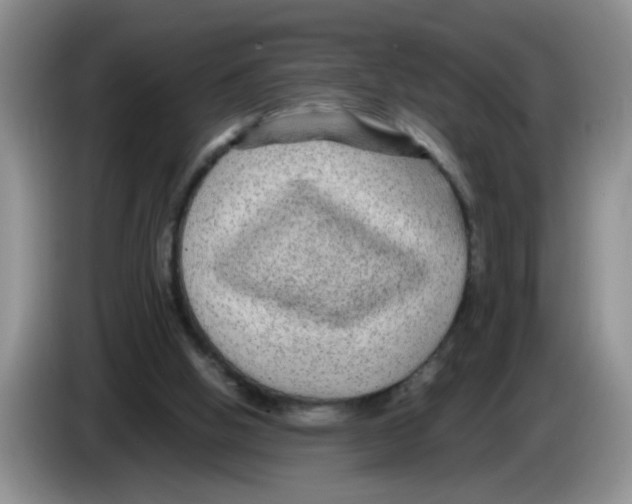 X0000083580058200703091707