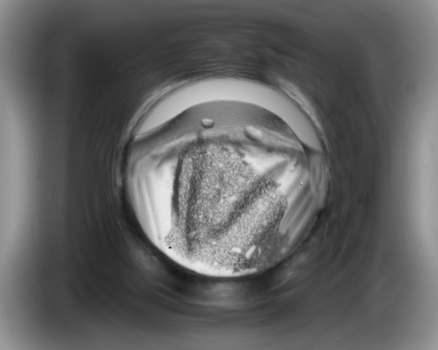 X0000083580059200703091707