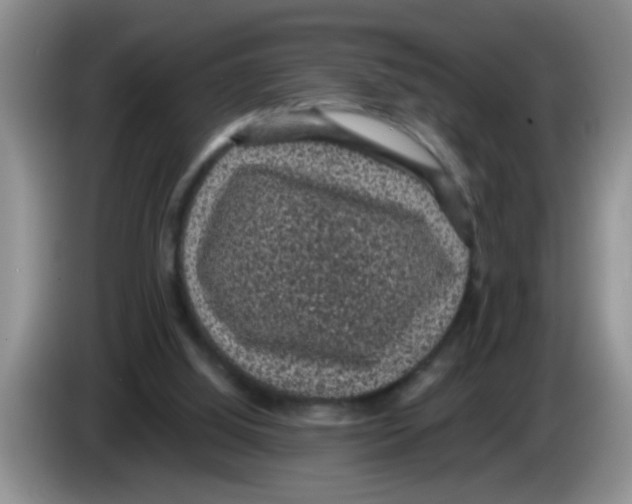 X0000083580060200703091707