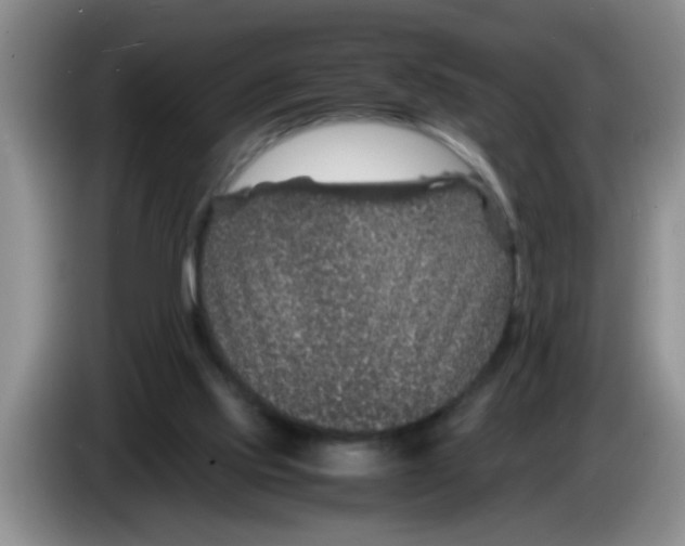 X0000083580061200703091707